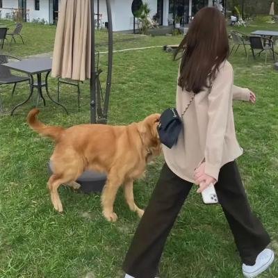 行李寄存